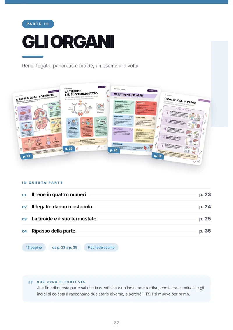 Pagina interna