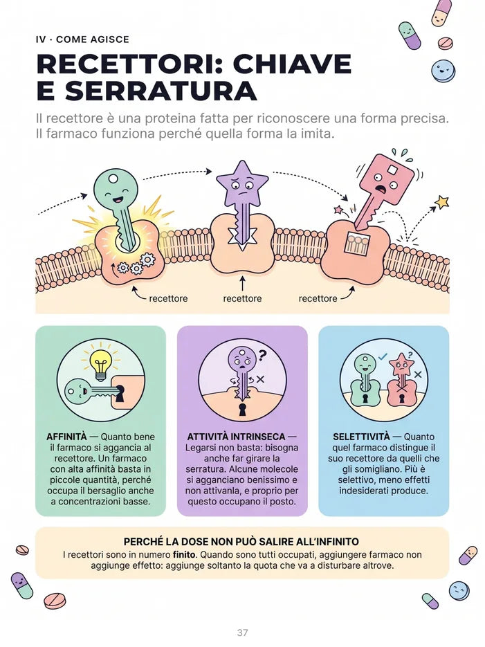 Pagina interna: recettori